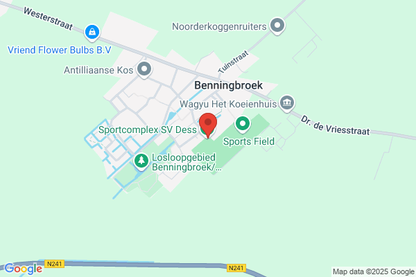 Sportvereniging Dess
