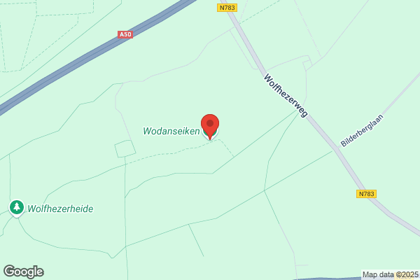 O. Van Middendorp