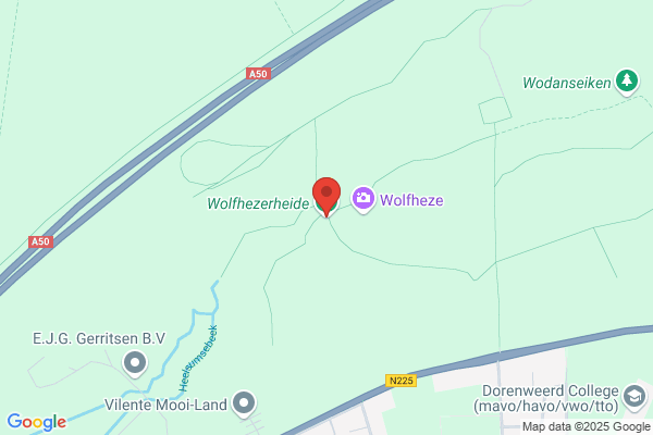 Wuyster, Derk