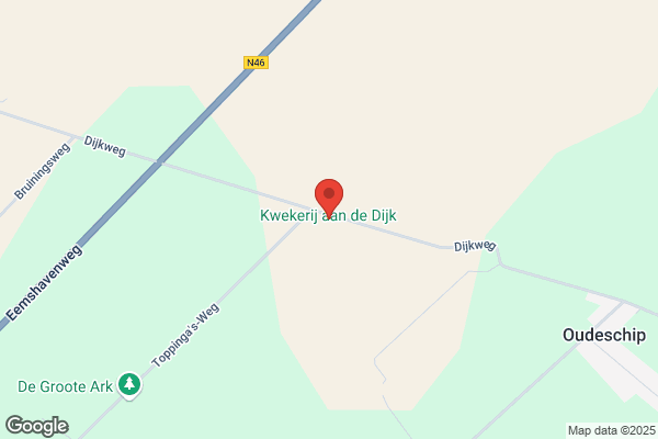 Kwekerij En Groothandel In Potplanten H. Van dijk