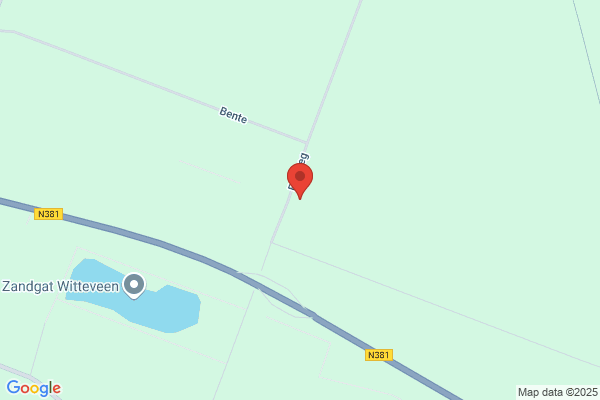 Witteveen, H