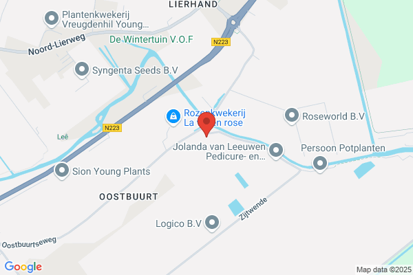 J.H. V.D. Berg N. Vroon Roukema
