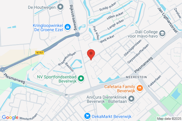 A. Van 't Klooster