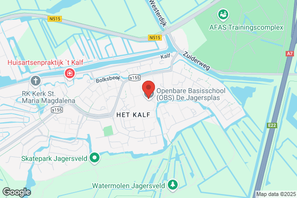 Vuurvogel, De