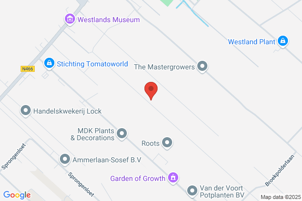Bloemenboetiek Sikkes