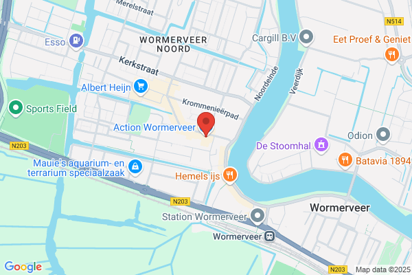 Action Wormerveer