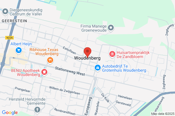 De Jong Project & Interim Management Bv