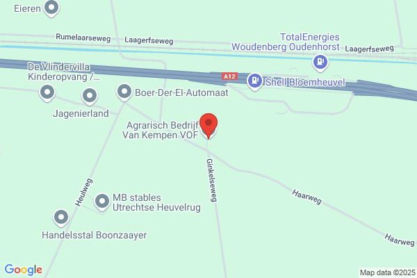 Tricht, Coen Van