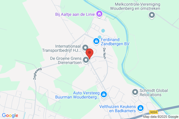 Elsenaar, M