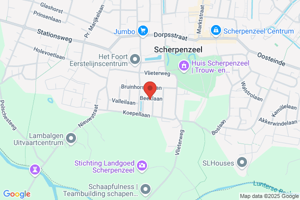 Boersma Schilders