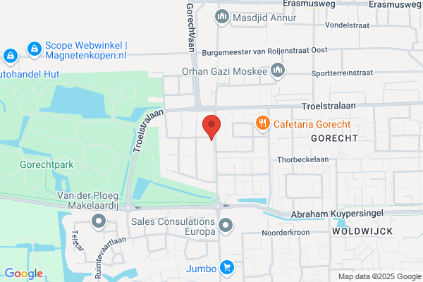 Heslinga, P