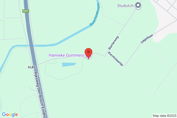 Gommeren, Hanneke