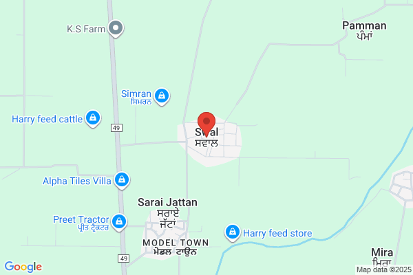 Swaal, J L M Van