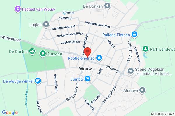 Wok, De
