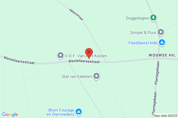 Oorschot, A Van