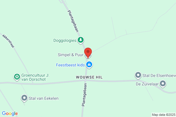 Augustijn