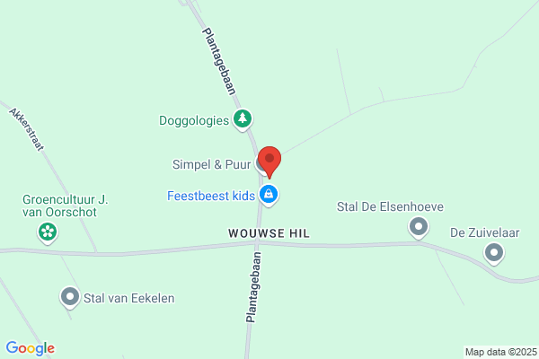 Feestbrouwerij, De