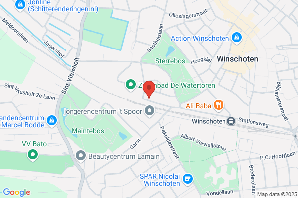 Ing. L.W. Stolk Consultant