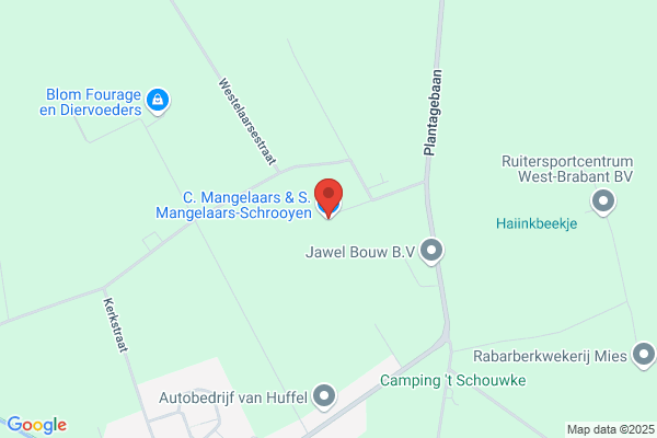 Manceau