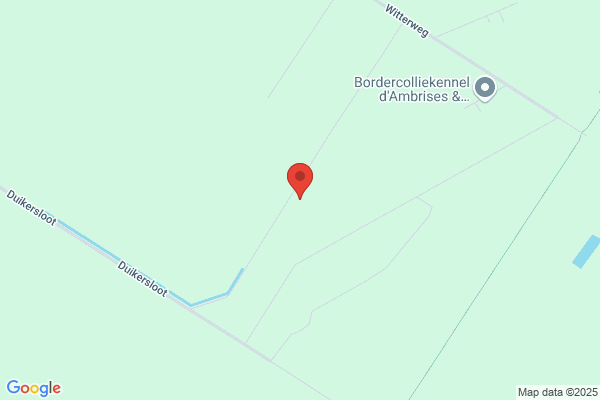 Adviesbureau Siertsema