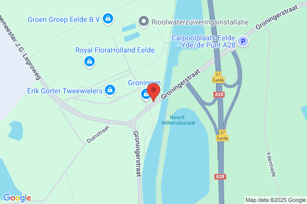 Koeleman Flower International Bv