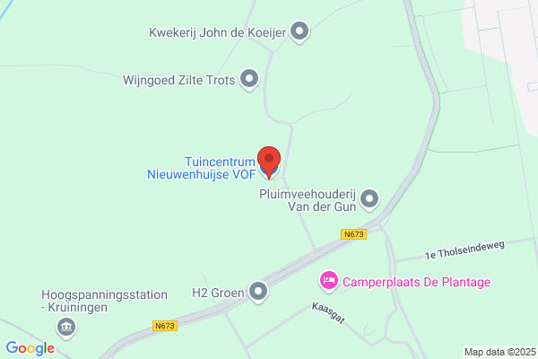 P. Nieuwenhuize