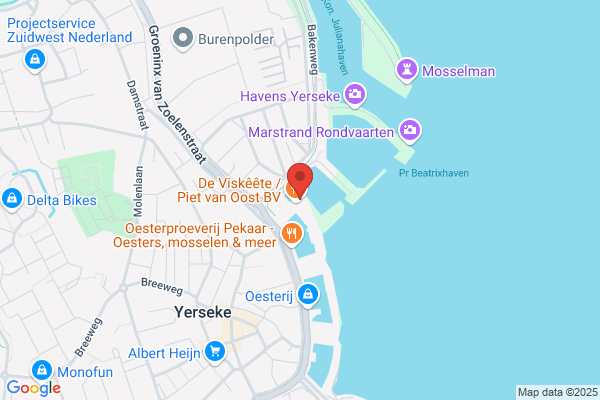 Stee Vof, Van