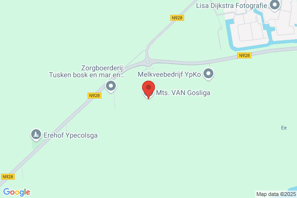 Meester Vd Brugsch