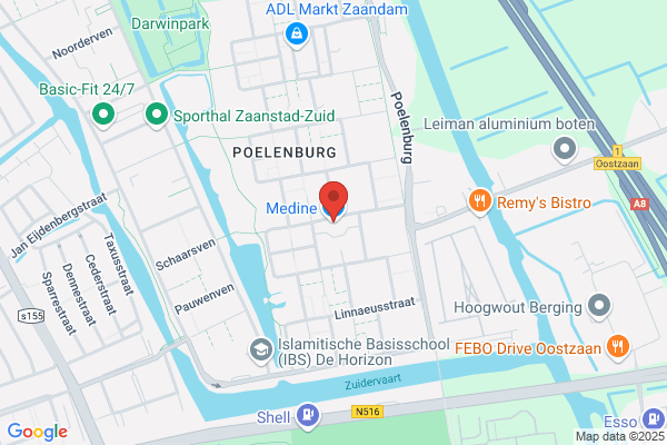 Lobeliaatje, 't