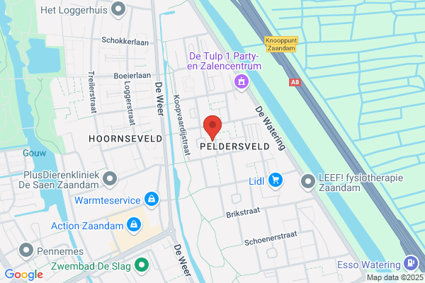 Eshuijs