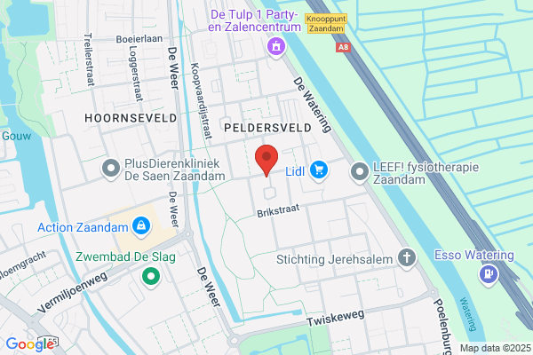 Elswijck Hairline, Van