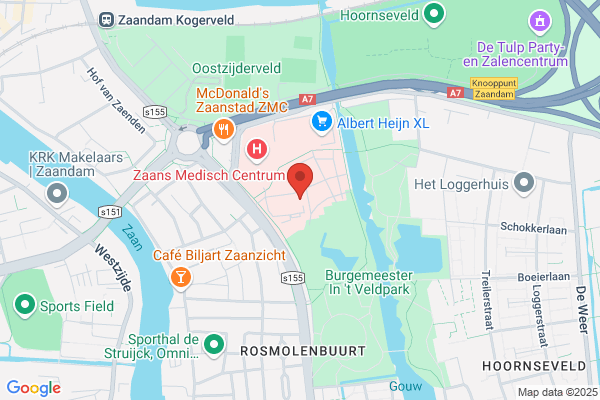 Pleijster