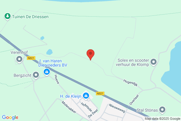Hogendijk