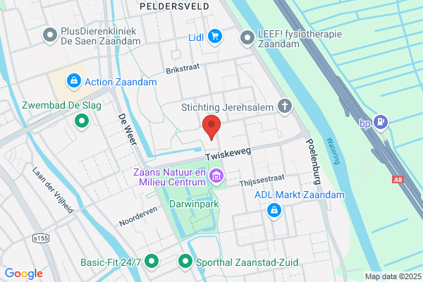 Internationale Vrije Vrouwen, Sticht