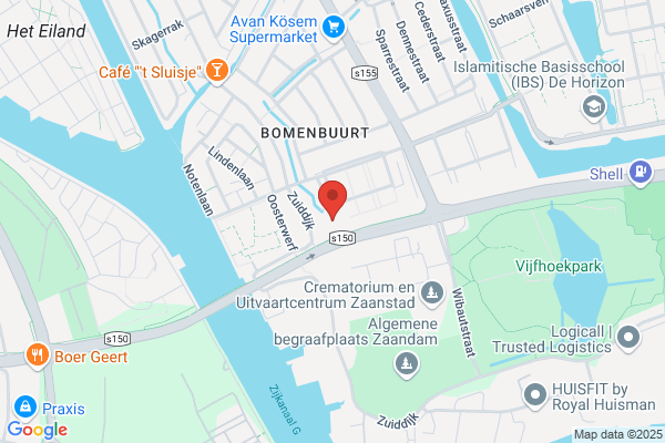 Zilvermeeuwen