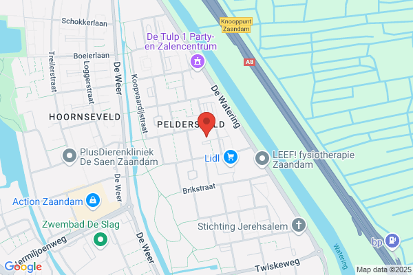 Palthe Chemische Reiniging H.A.A. Timmers Bv