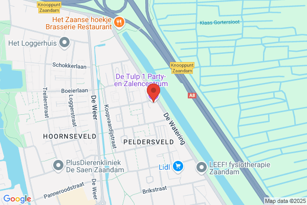 Tulp, De