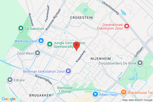 Opl Begel Bij Bewustwording En Groeiprocessen