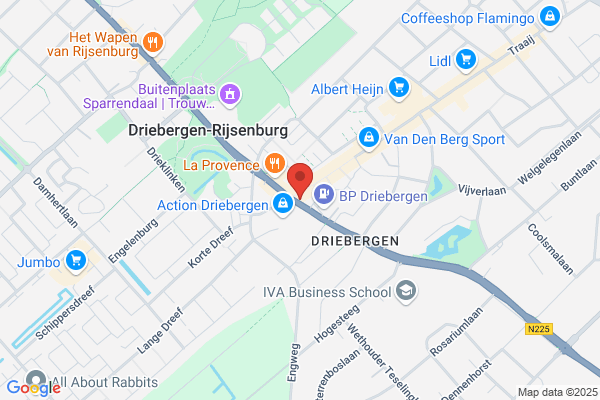 Apotheek Driebergse