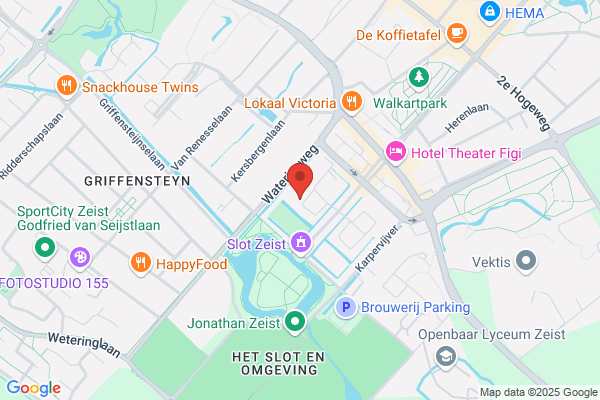 Achtergrondensemble, Het