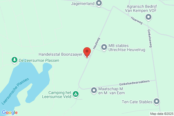 Boonzaayer Bv, P