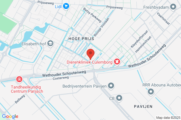 Vliegasunie Bv