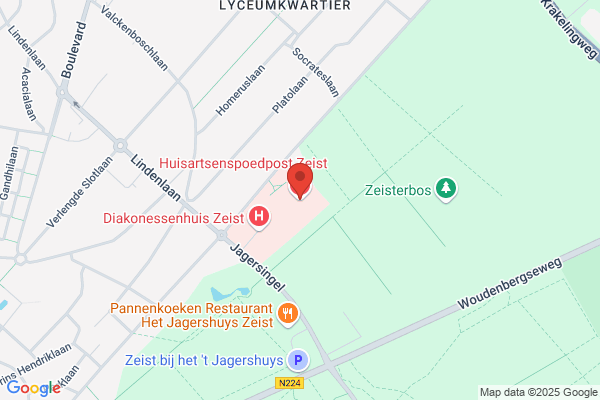 Schizofrenie Sticht Ned