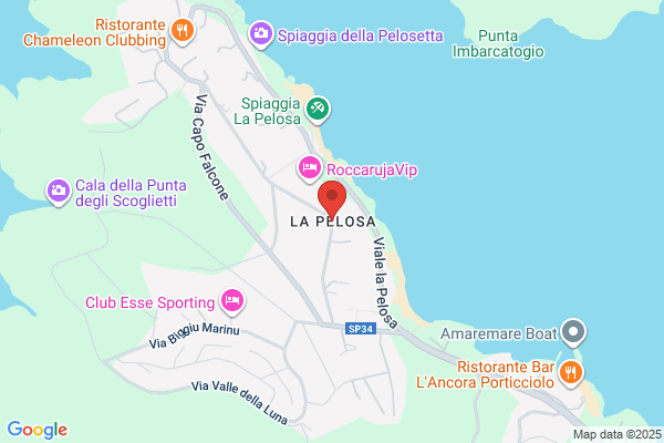 Pelosa