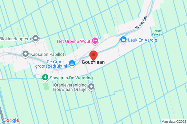 Goudriaan, Mr A