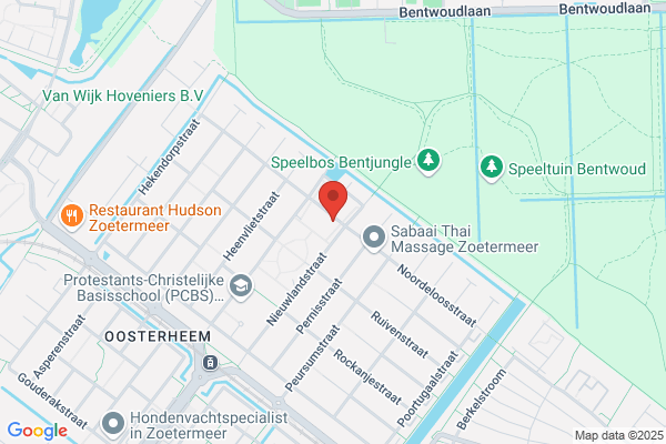 Benthem, Toon Van