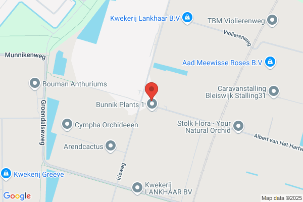 Bunnik Plants Bv