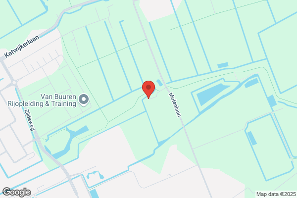 Jaap Bazuin Kamerplanten