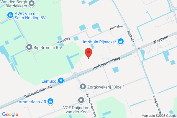 Kwekerij Van Marwyk Bv