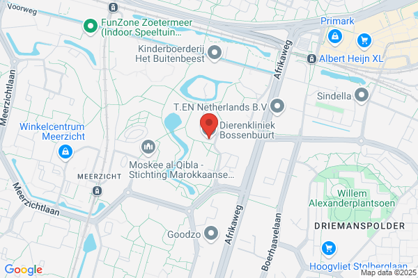 Vet, W A Van Der